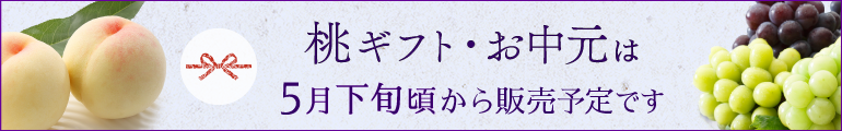 2026 志ほやの桃・お中元について