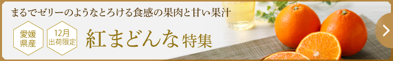 紅まどんな特集はこちら｜旬のくだもの｜公式オンラインショップ店｜百年選ばれ続ける岡山の贈り物【志ほや】～創業大正二年