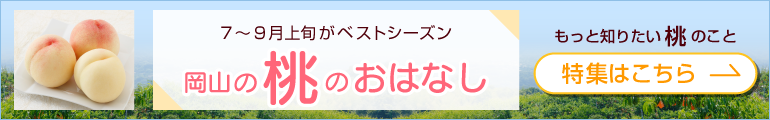 岡山の桃のおはなし｜公式オンラインショップ店｜百年選ばれ続ける岡山の贈り物【志ほや】～創業大正二年
