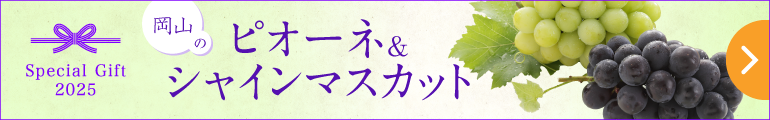 ぶどうのギフト・岡山のピオーネ＆シャインマスカット 2025｜公式オンラインショップ店｜百年選ばれ続ける岡山の贈り物【志ほや】～創業大正二年