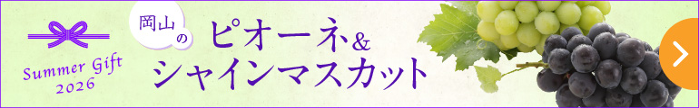 ぶどうのギフト・岡山のピオーネ＆シャインマスカット 2026｜公式オンラインショップ店｜百年選ばれ続ける岡山の贈り物【志ほや】～創業大正二年